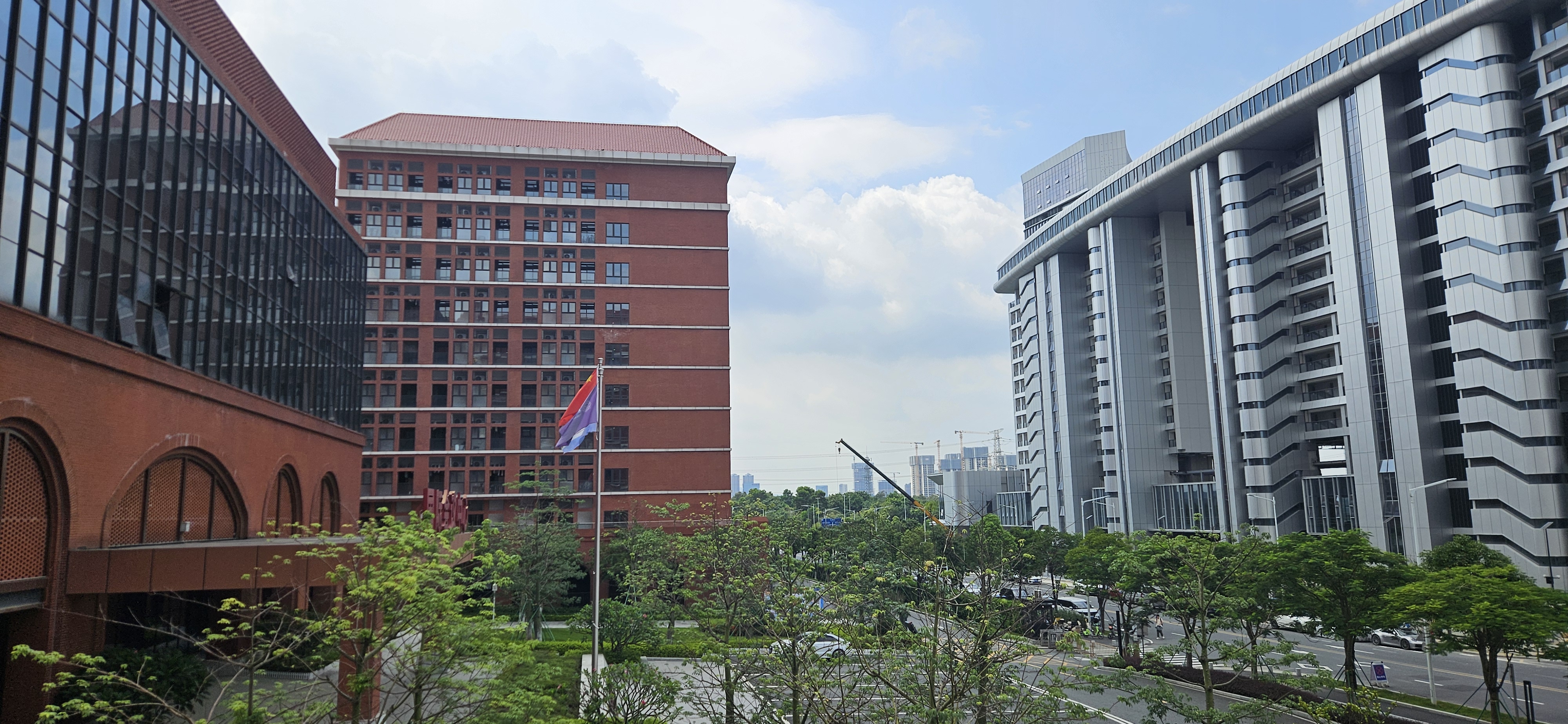 Living Arrangements